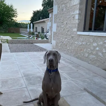 Mas Galinette B&B *